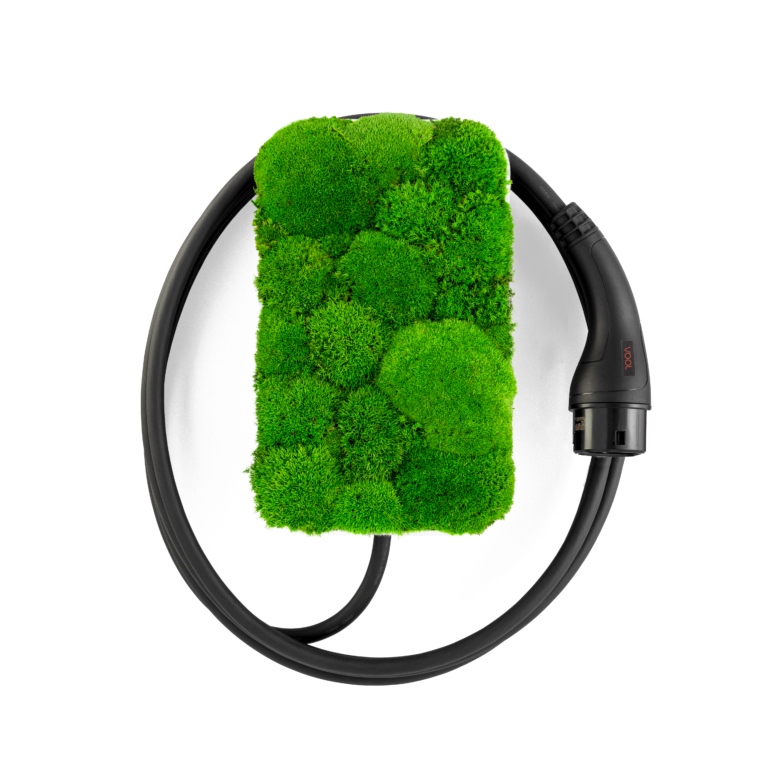 VOOL laadija 22kW - elav sammal